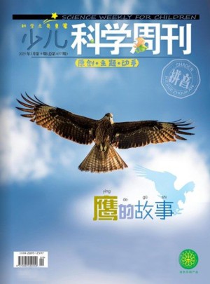 少儿科学周刊